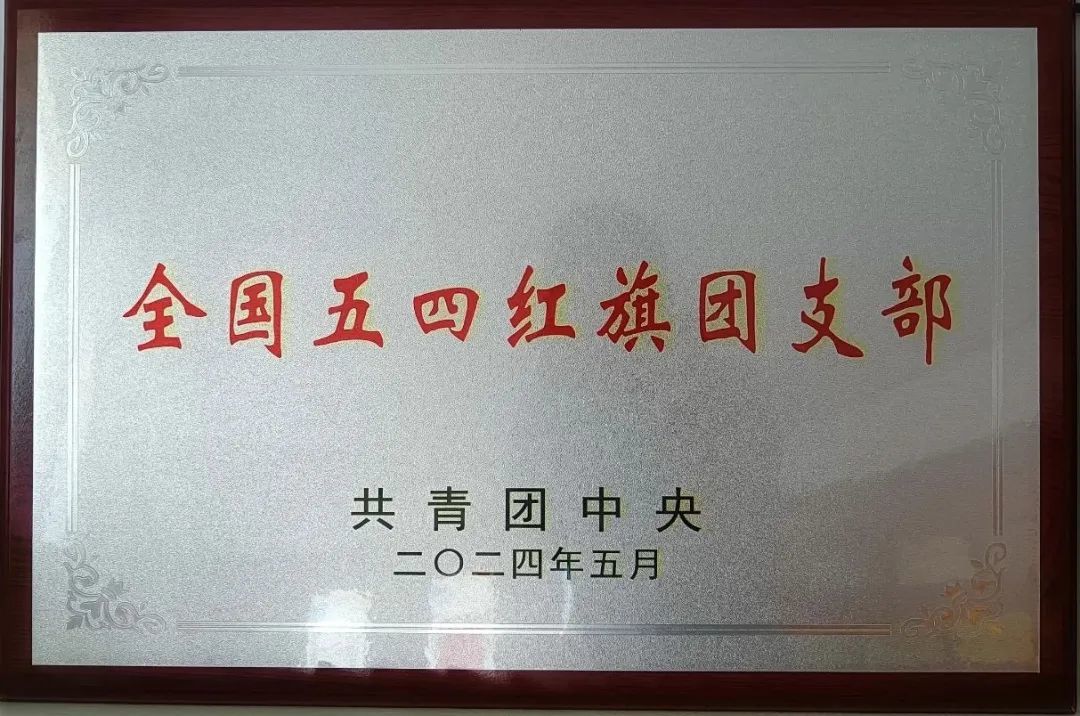 特别企划 | 盘点2024,一起回顾我们的高光时刻!